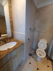 Valley Park (D10), Condominium #595146201